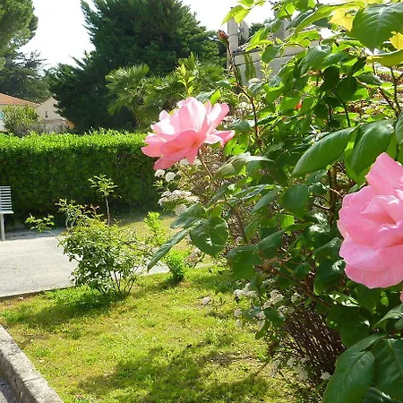 Apart Otel Eden Azur - Hoteliere 4*