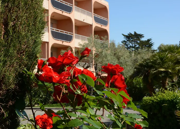 Eden Azur - Hoteliere 4*